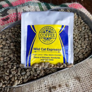 Wild Cat - Espresso